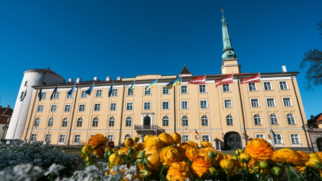 Rīgas pils attēls