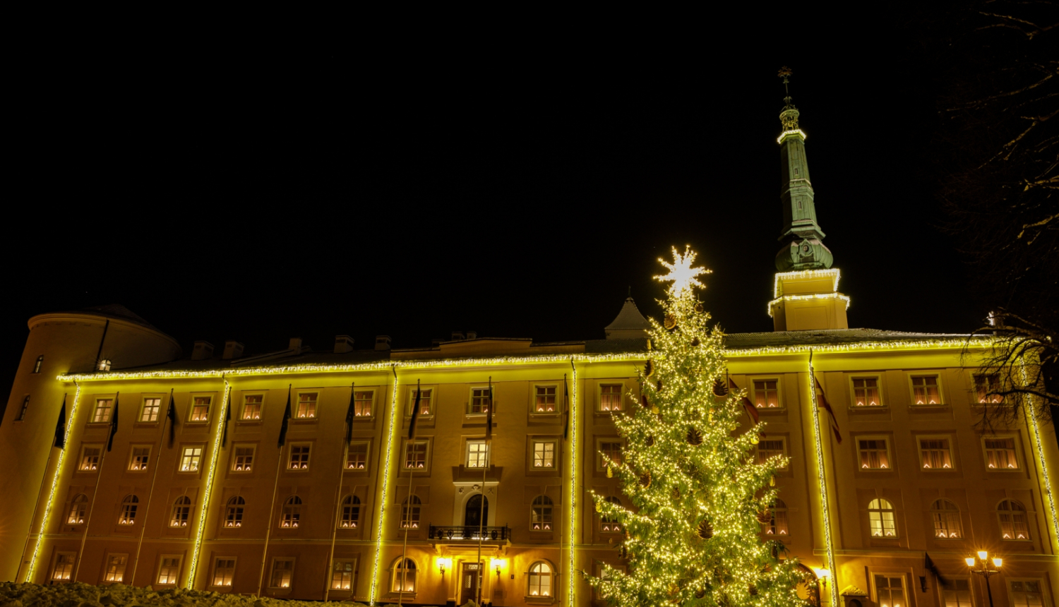 06.12.2023. Pie Rīgas pils iedegta Ziemassvētku egle