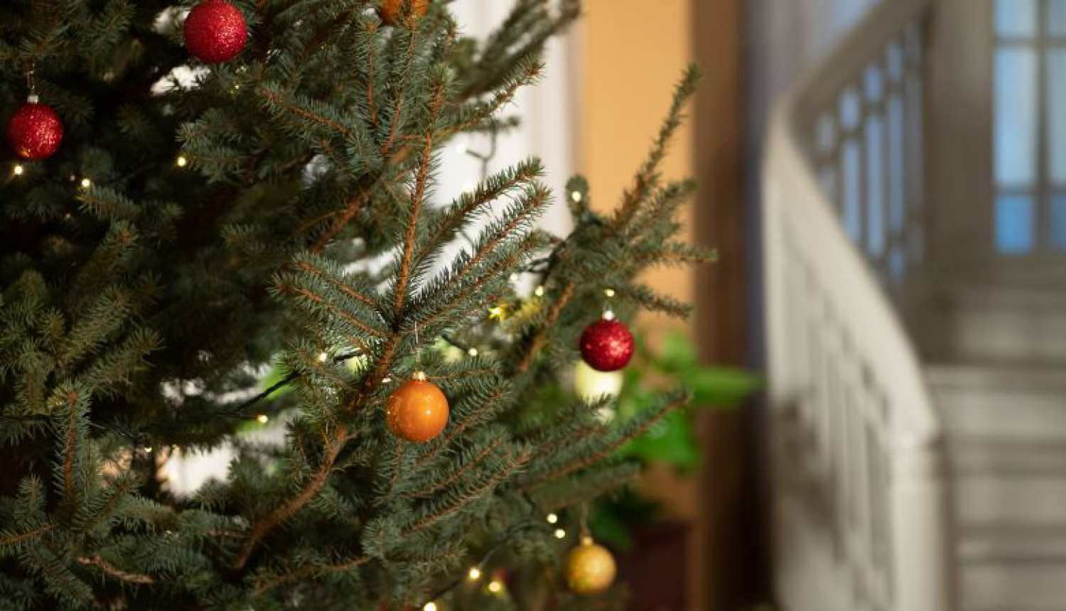 Valsts prezidents gada nogalē sveic kuplas un aktīvas ģimenes no Latvijas novadiem un pilsētām