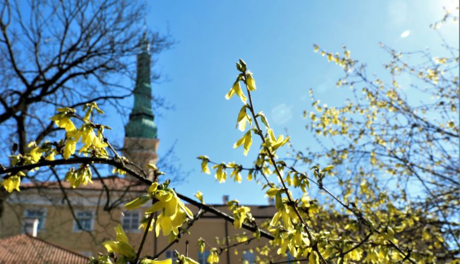 Valsts prezidenta Raimonda Vējoņa un Ivetas Vējones apsveikums Lieldienās