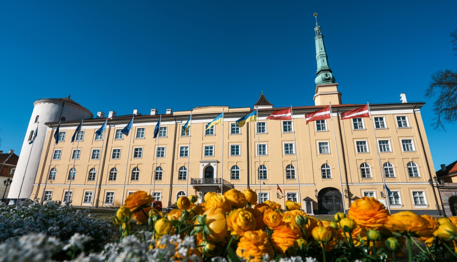 Rīgas pils attēls