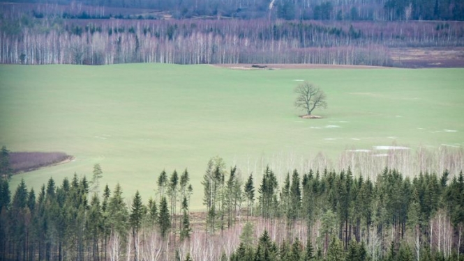 Latvijas dabas ainava