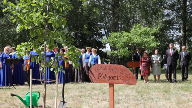 Valsts prezidents Vienības birzī pie Staburaga iestāda ozolu