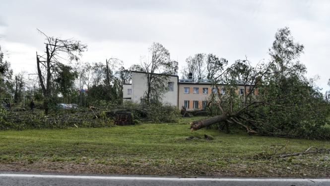 skats ar vētras nolauztiem kokiem