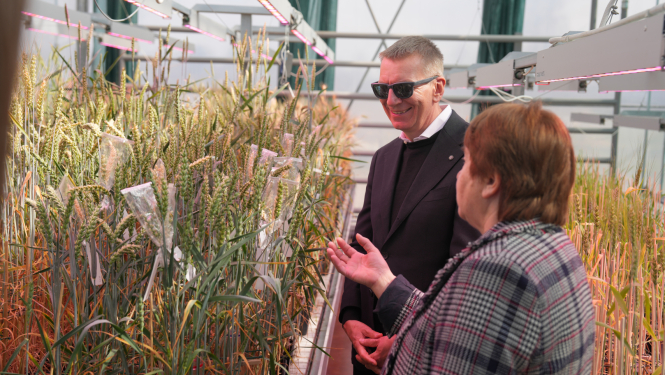Valsts prezidents apmeklē Agroresursu un ekonomikas institūta Stendes pētniecības centru “Dižzemes”