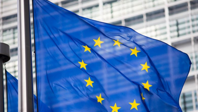 Valsts prezidents rīkos diskusiju par godu 25. gadadienai kopš Latvijas iestāšanās EP