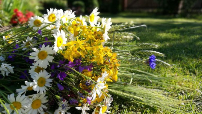 Valsts prezidenta Raimonda Vējoņa un Ivetas Vējones kundzes apsveikums Līgo svētkos