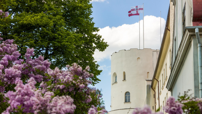 Rīgas pils tornis ar ceriņiem fonā