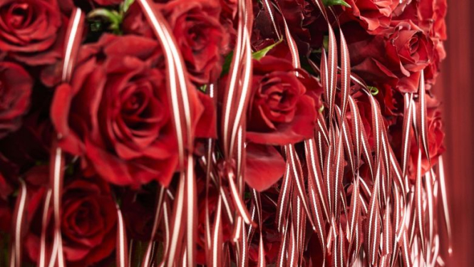 Valsts prezidents Rīgas pilī pasniedz valsts augstākos apbalvojumus