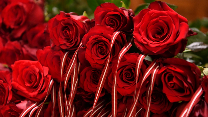 rozes ar Latvijas karoga lentīti