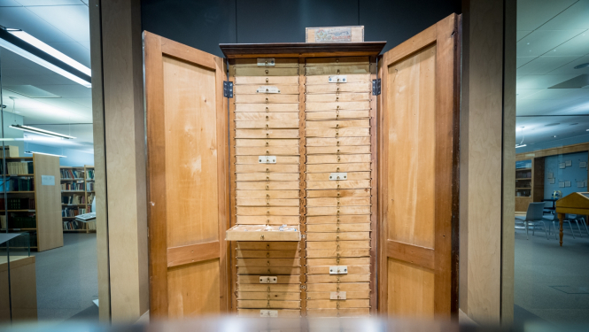 Attēlē redzams Dainu skapis