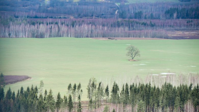 Latvijas dabas ainava