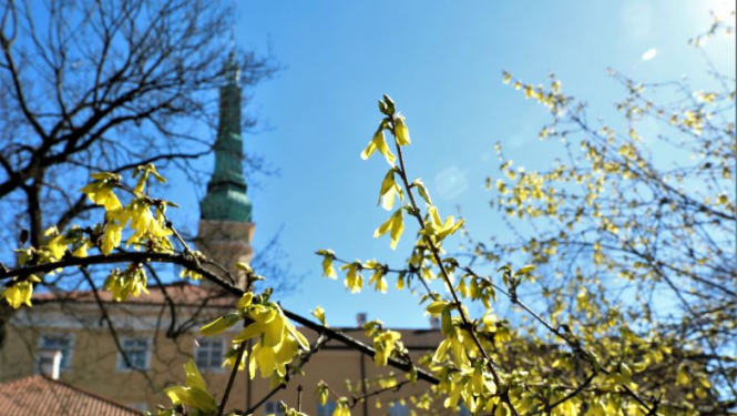 Valsts prezidenta Raimonda Vējoņa un Ivetas Vējones apsveikums Lieldienās