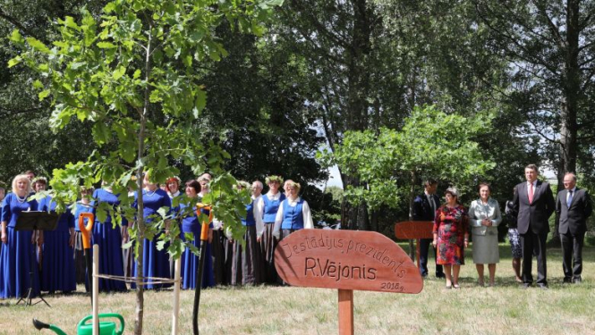 Valsts prezidents Vienības birzī pie Staburaga iestāda ozolu