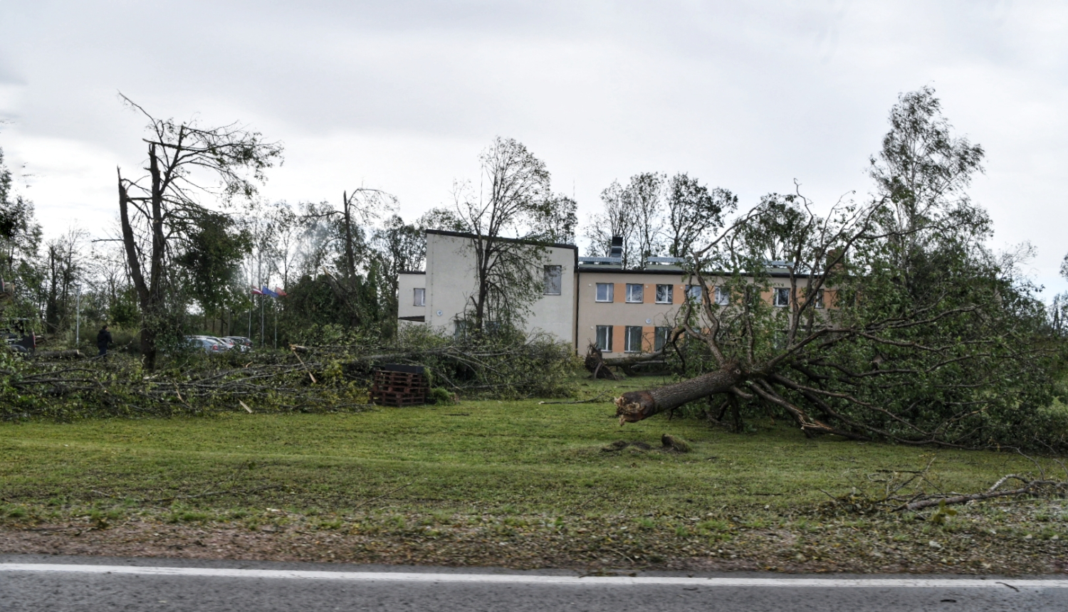 skats ar vētras nolauztiem kokiem