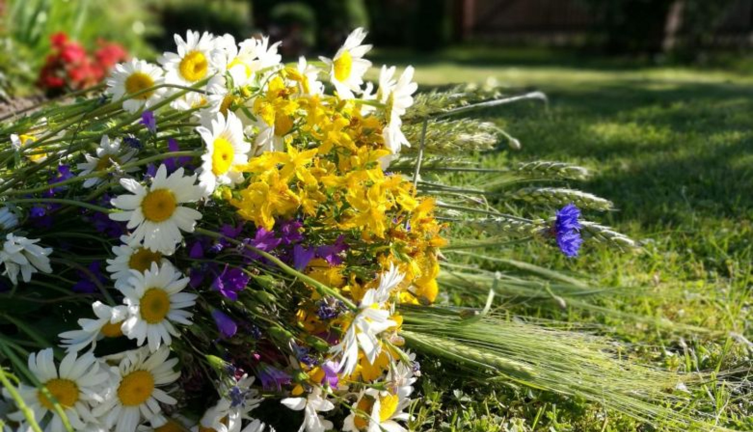 Valsts prezidenta Raimonda Vējoņa un Ivetas Vējones kundzes apsveikums Līgo svētkos