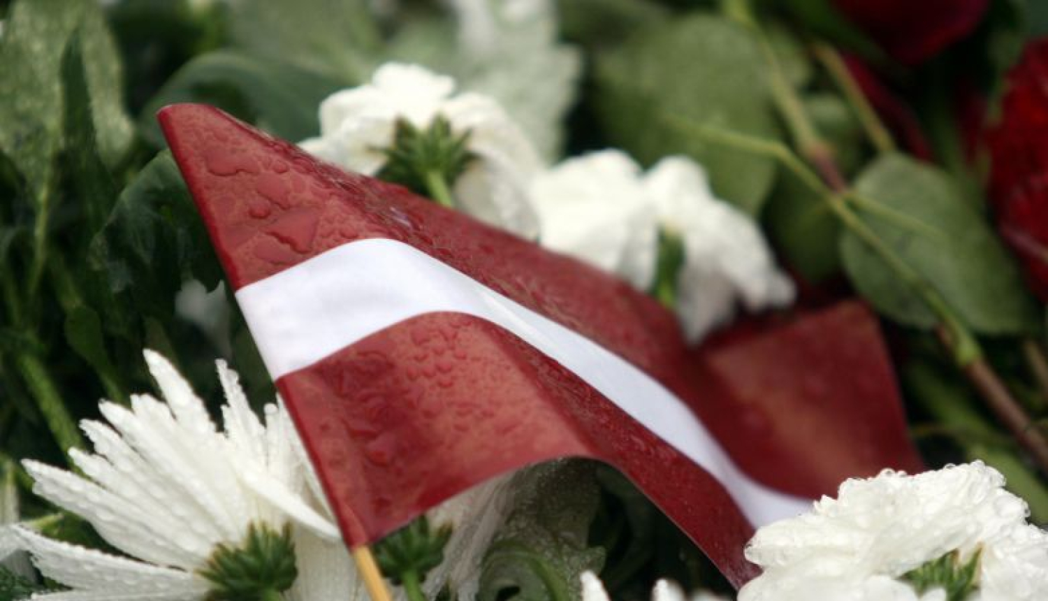 Valsts prezidents piedalīsies Pirmā pasaules kara beigu 100. gadadienas piemiņai veltītajos pasākumos Parīzē