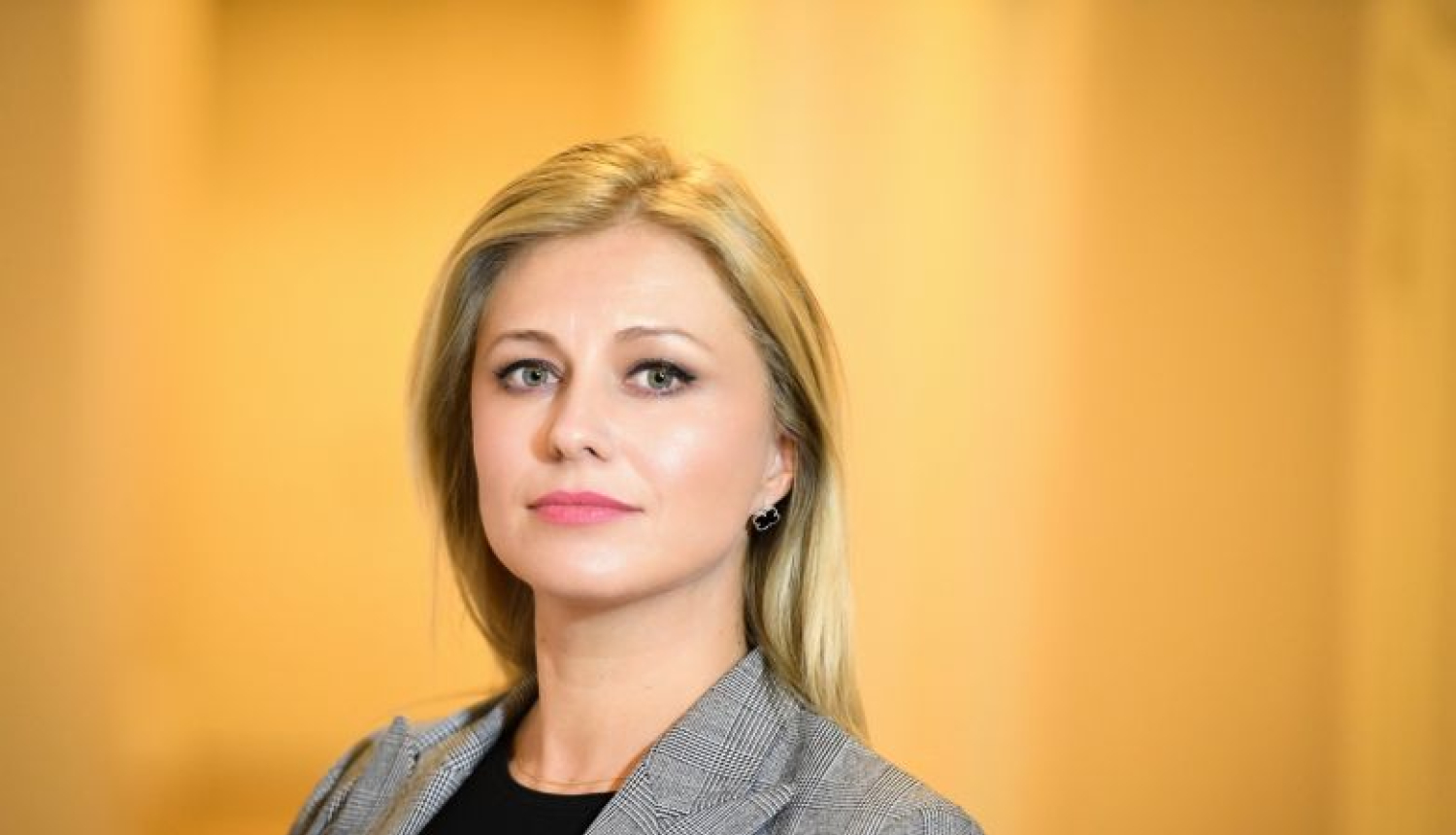 Irēna Kucina: valstiski ir ļoti svarīga partiju attīstība ilgtermiņā