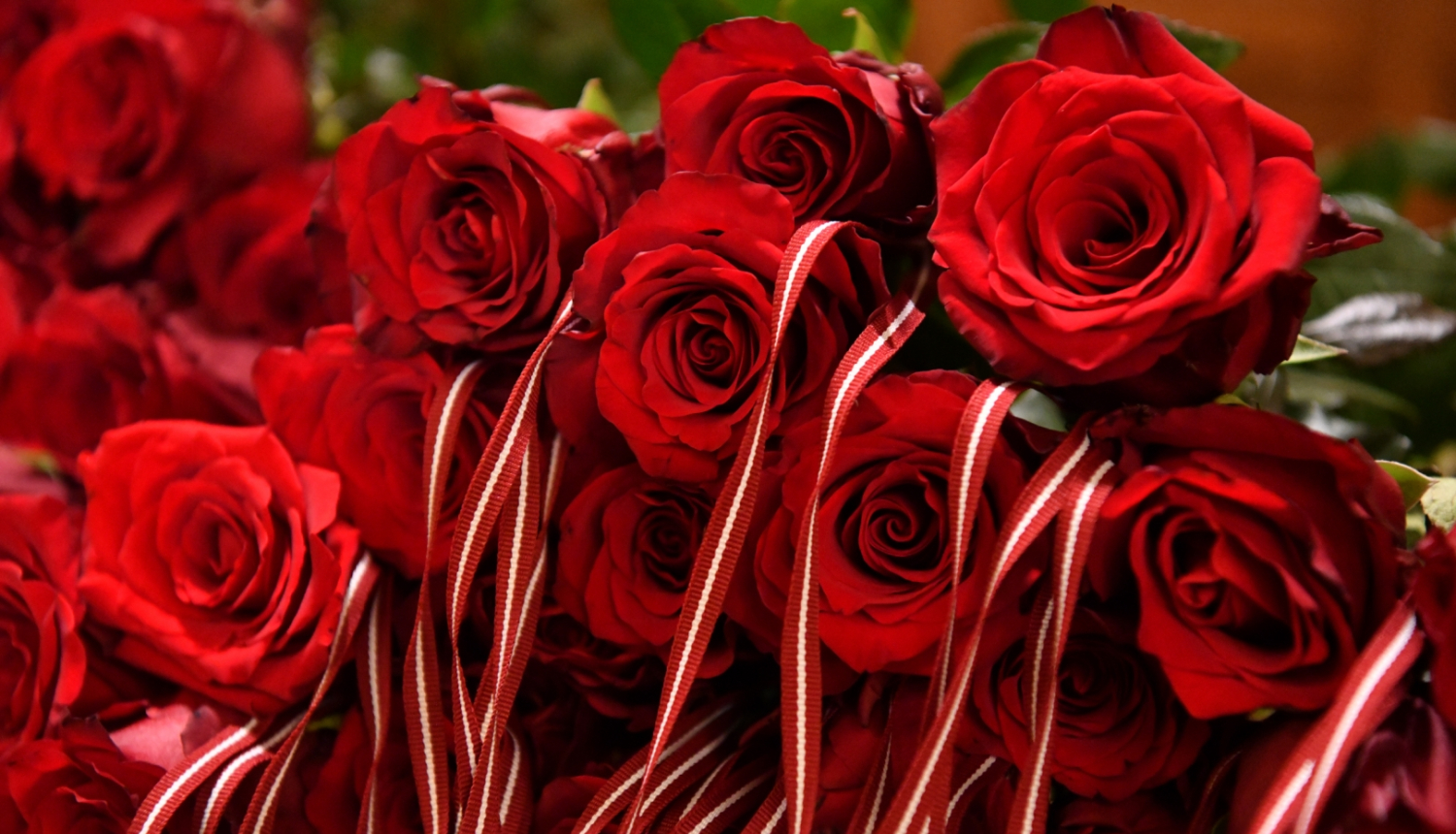 rozes ar Latvijas karoga lentīti