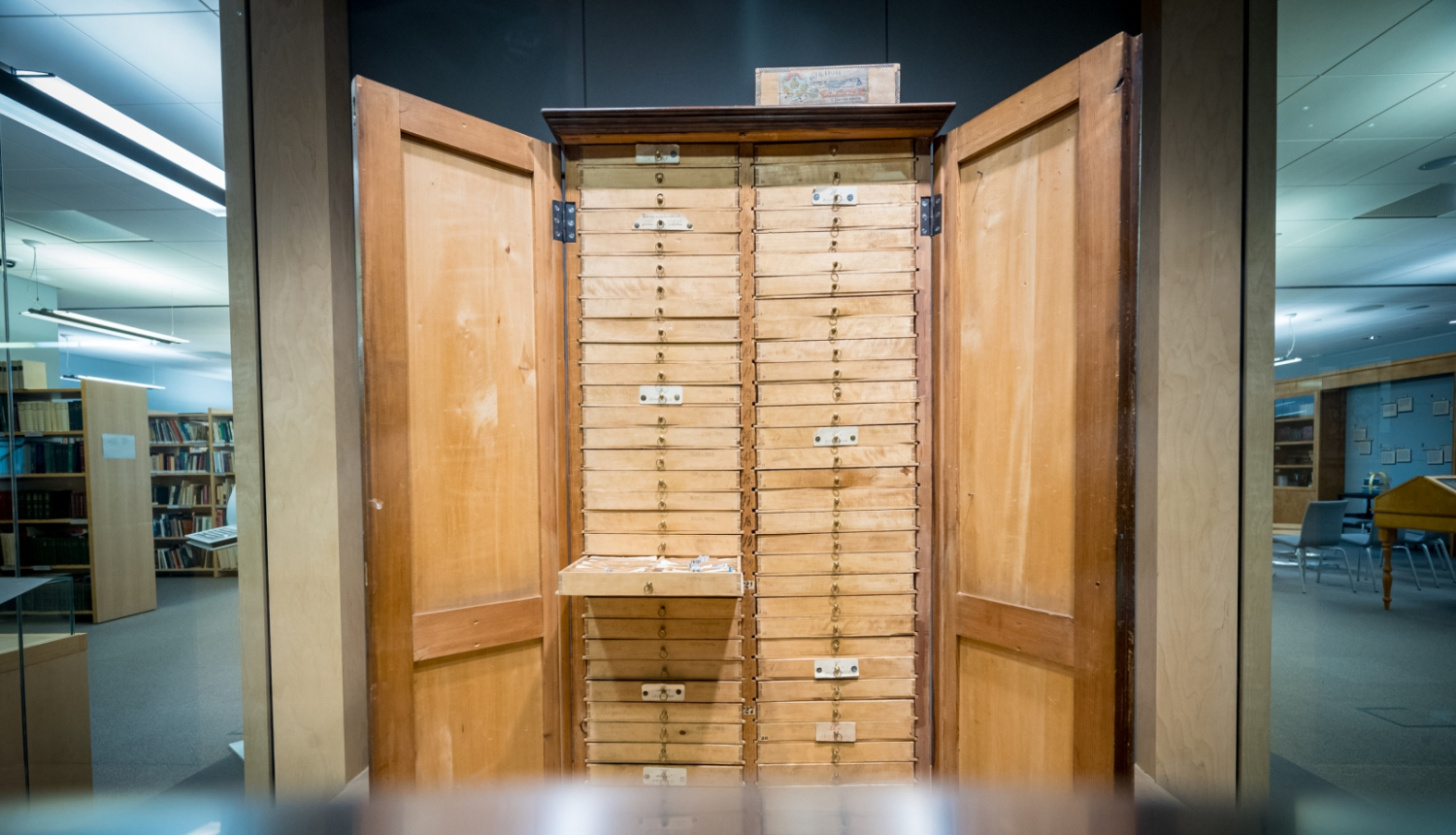 Attēlē redzams Dainu skapis