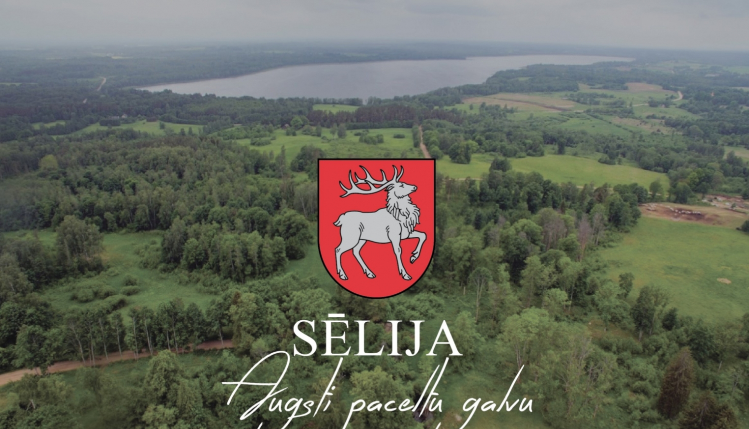 Sēlijas ģerbonis