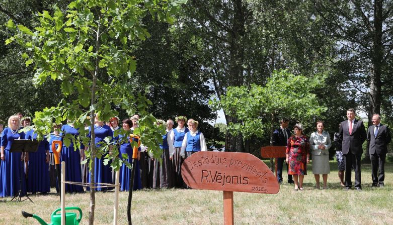 Valsts prezidents Vienības birzī pie Staburaga iestāda ozolu