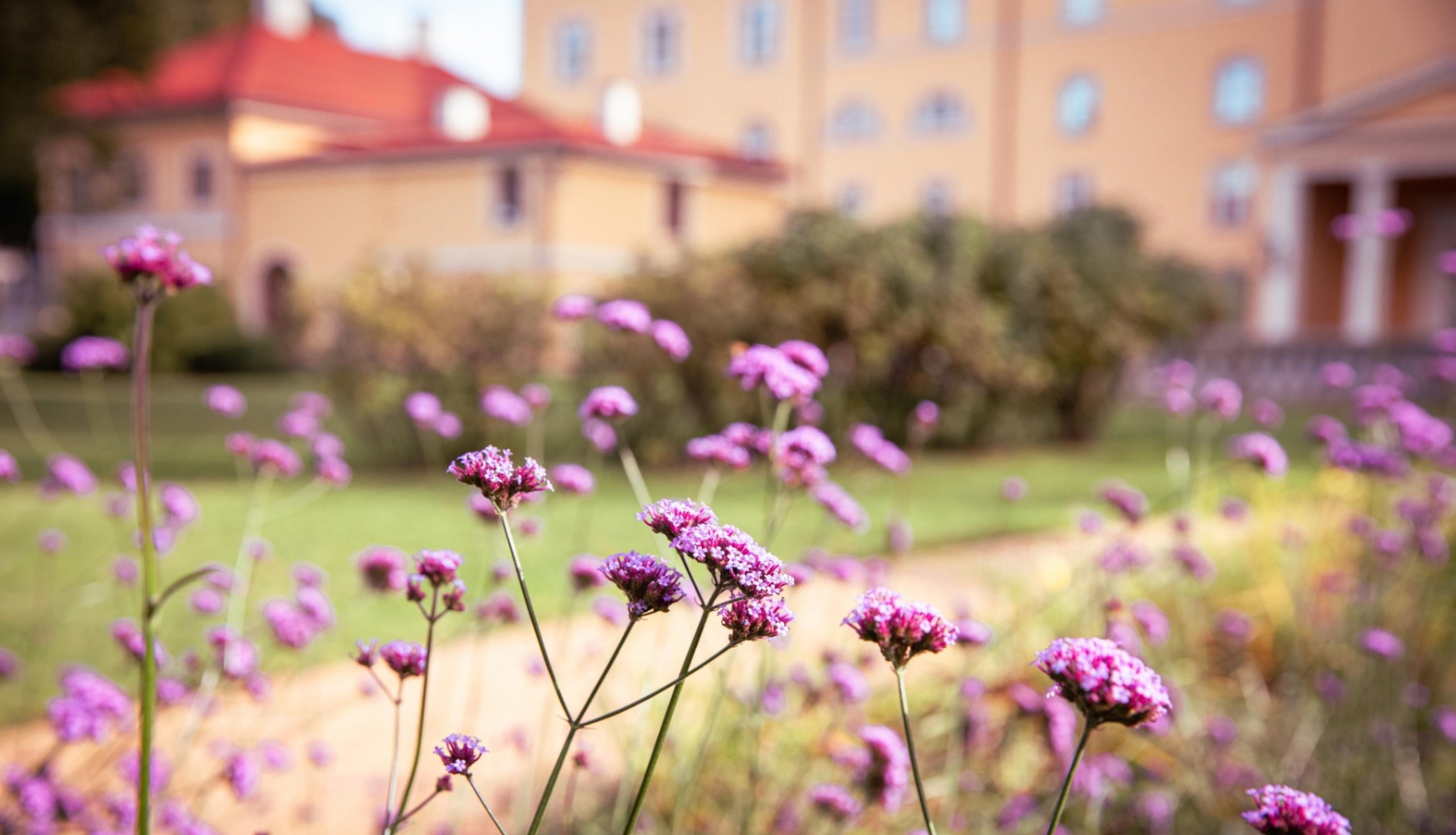 Rudens ziedi pie Rīgas pils