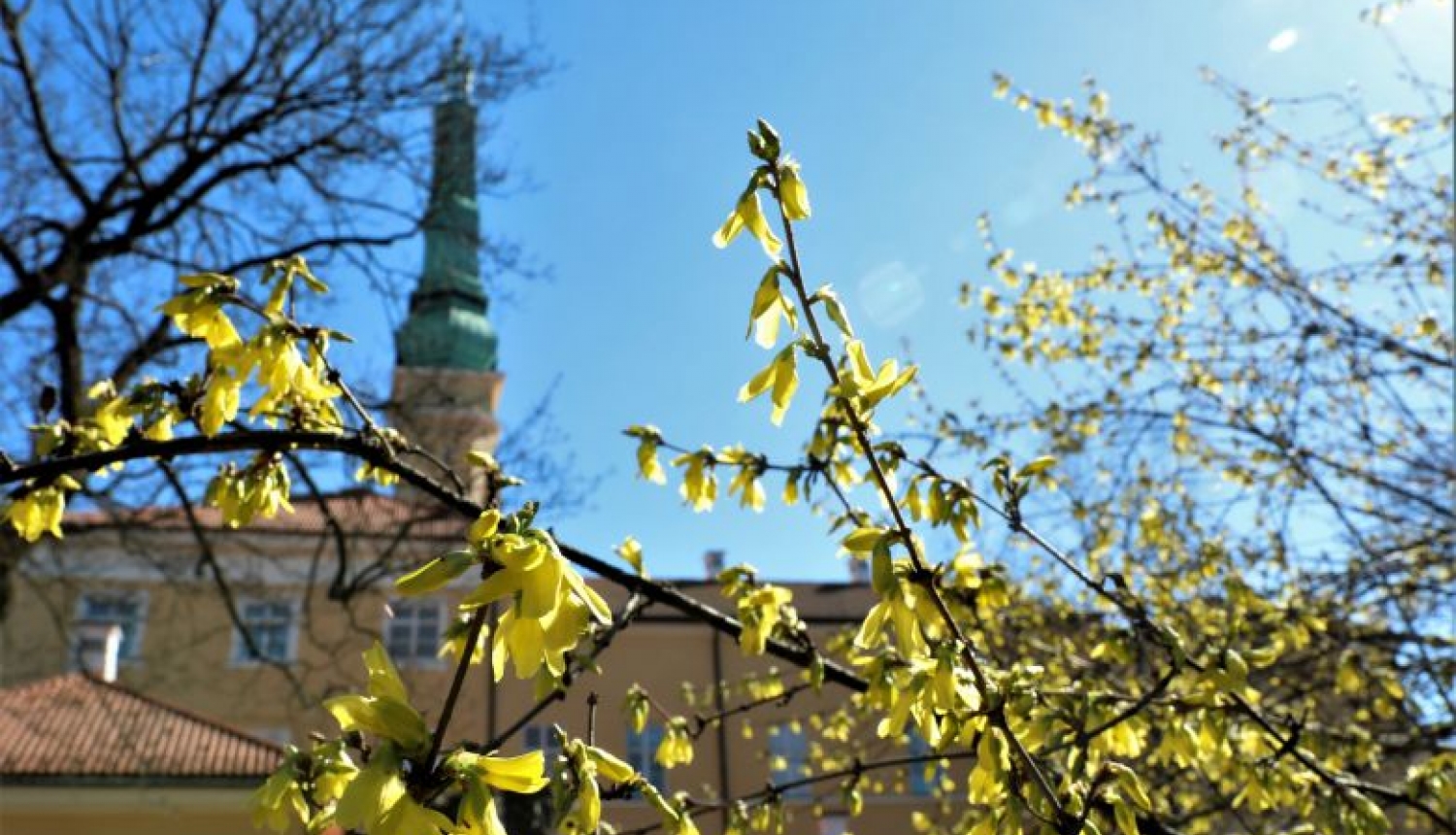 Valsts prezidenta Raimonda Vējoņa un Ivetas Vējones apsveikums Lieldienās